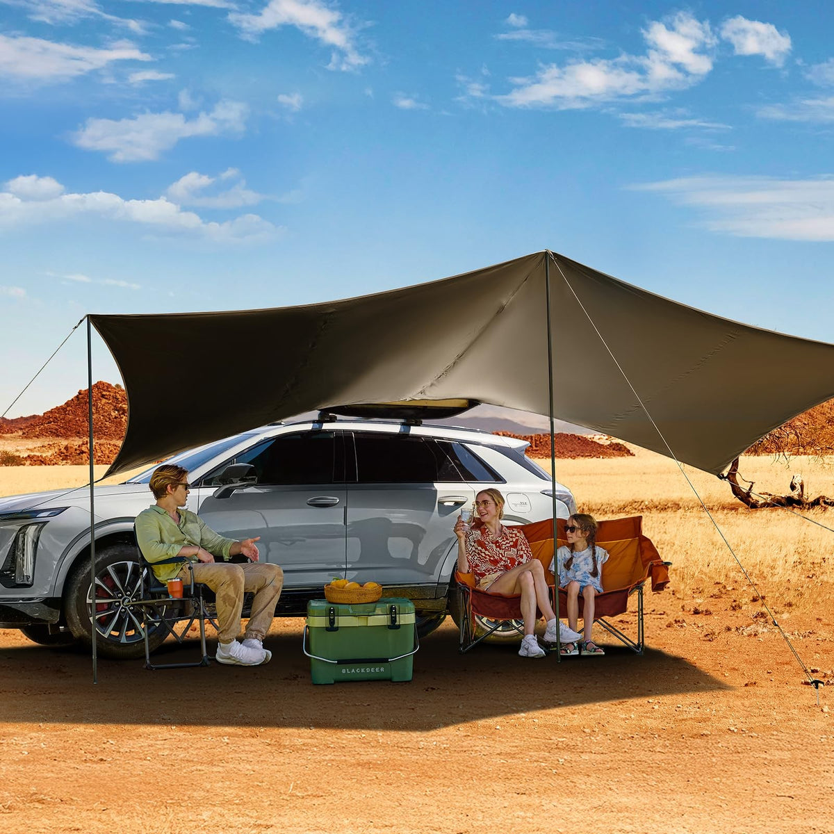19X9.8Ft Retractable Vehicle Awning with Blackout Coating Roof Rack Pull-Out ...
